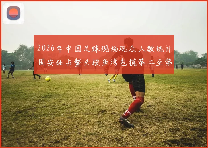 2026年中国足球现场观众人数统计国安独占鳌头梭鱼湾包揽第二至第七位